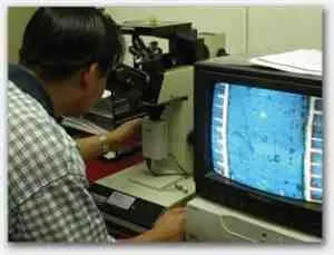Testing/Screening & Laboratory Services